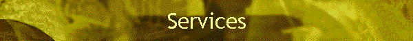 Services